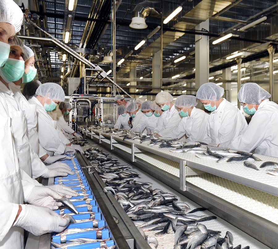 Fish Industry Wastewater Treatment Plants made in Germany by ClearFox