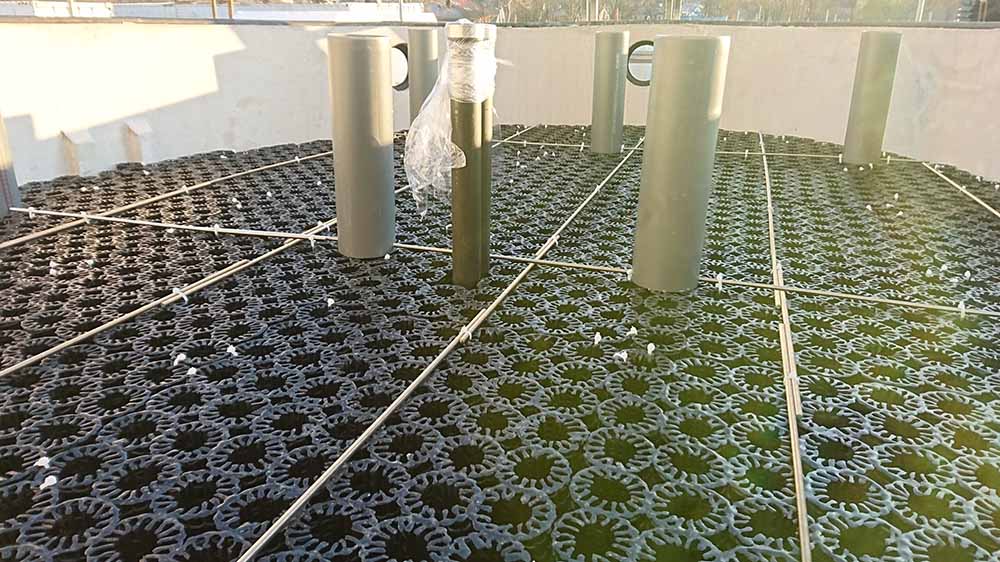 COD removal with FBBR technology