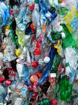 ClearFox plastic bottle recycling