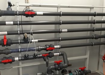 ClearFox® pH neutralization for food flavour industry