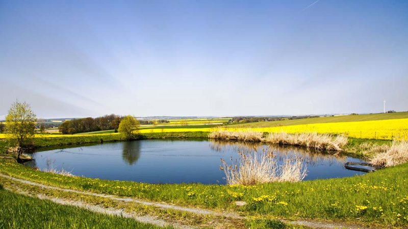 ClearFox® Klärteich Sanierung