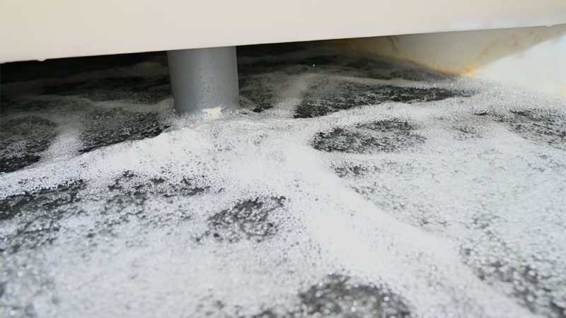 ClearFox BOD removal for wastewater treatment