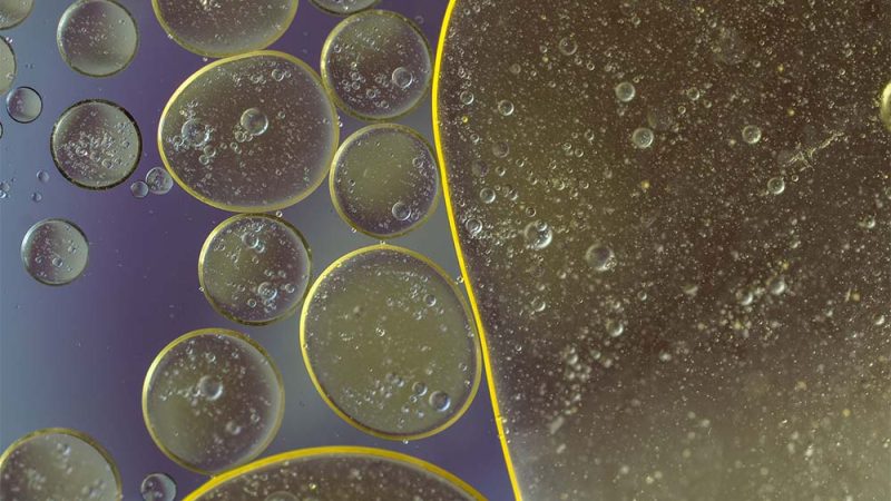 ClearFox FOG management by A_Different_Perspective pixabay