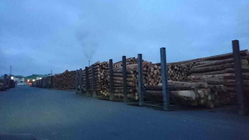 Wasserreinigung für Holzindustrie