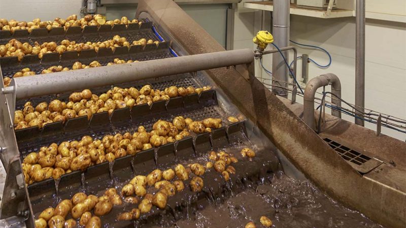 ClearFox starch removal by Елена Бионышева-Абра by Adobe Stock