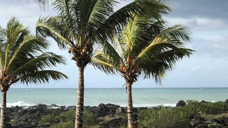 Containerized sewage treatment plant ClearFox®