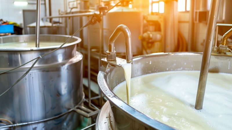 milk production in a factory